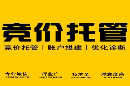 SEM外包在提升广告转化率方面的实践案例
